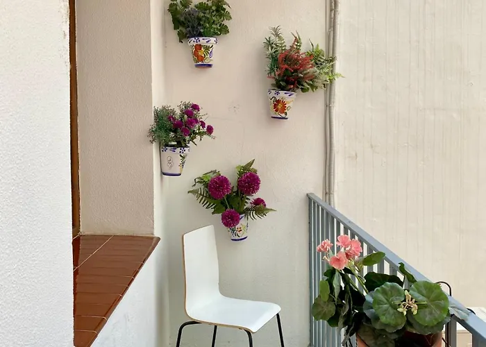 Vtz El Balcon De Rey Alfonso I
